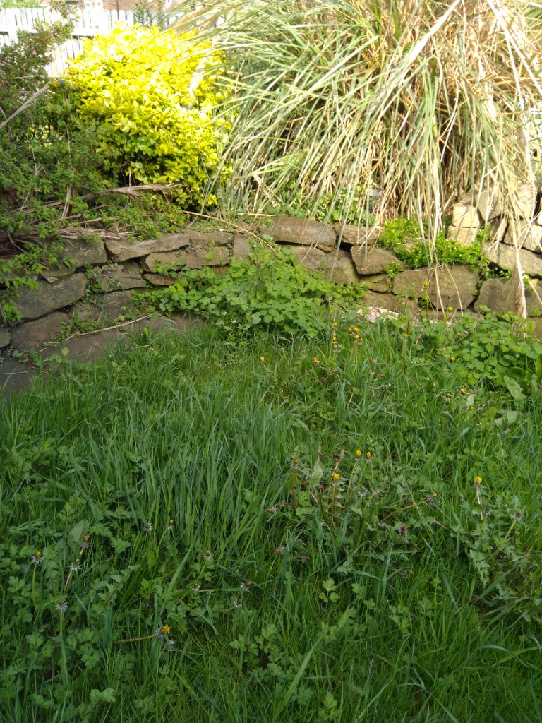 Golcar garden photo 7