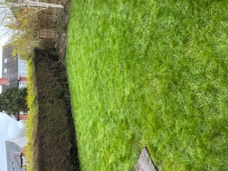 Leeds Garden Tidy Up