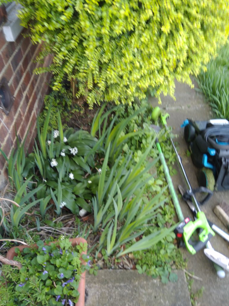 Golcar garden photo 8