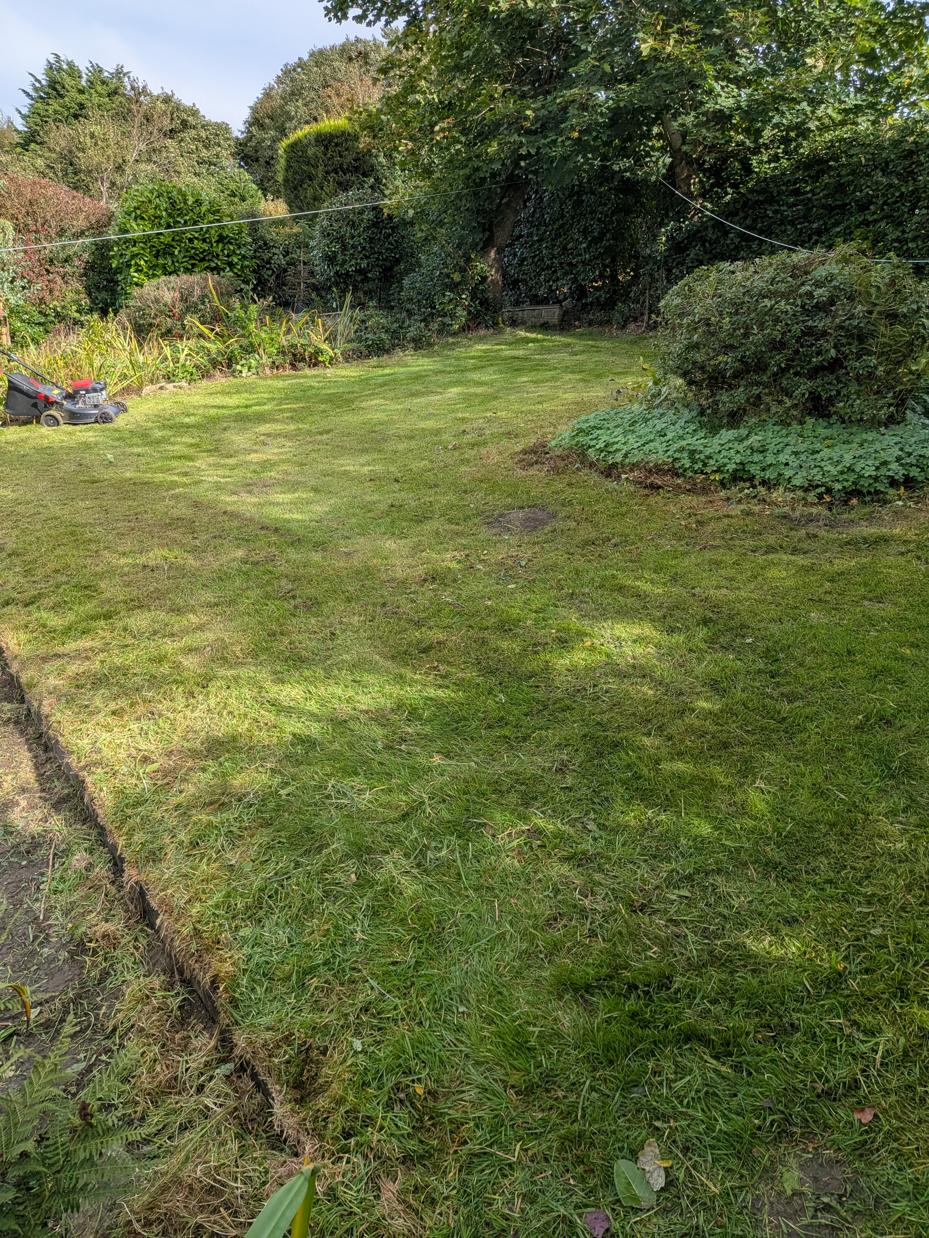 Lawn Mowing & Edging — West Yorkshire