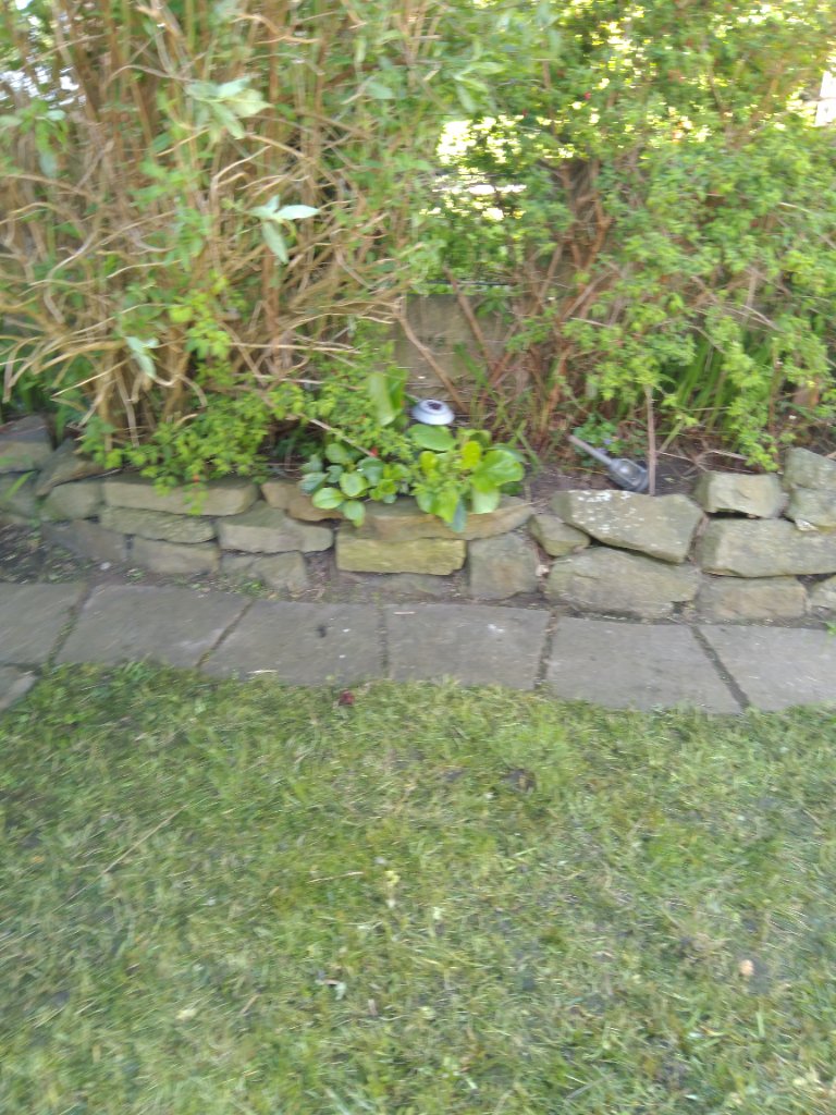 Golcar garden photo 2