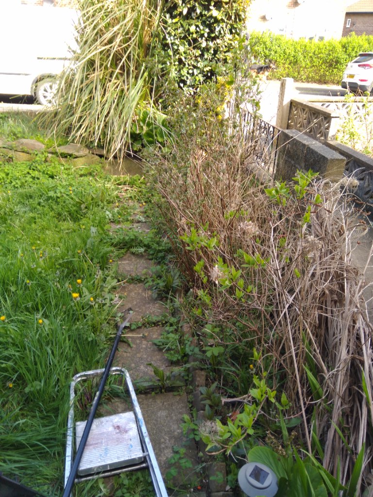 Golcar garden photo 9