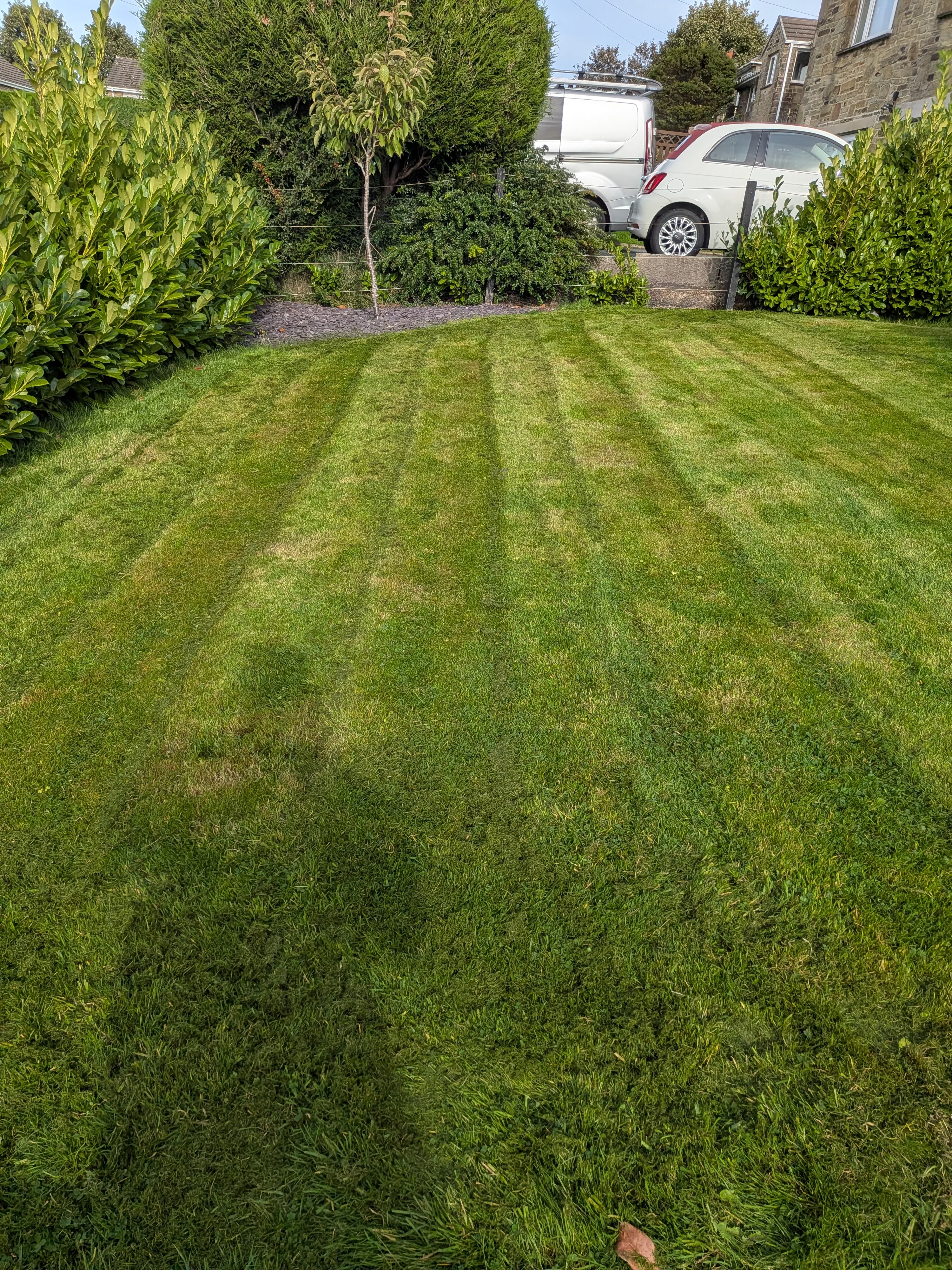 Striped Lawn Mowing — Queensbury