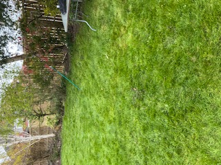Leeds Garden Tidy Up