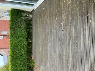 Leeds Garden Tidy Up