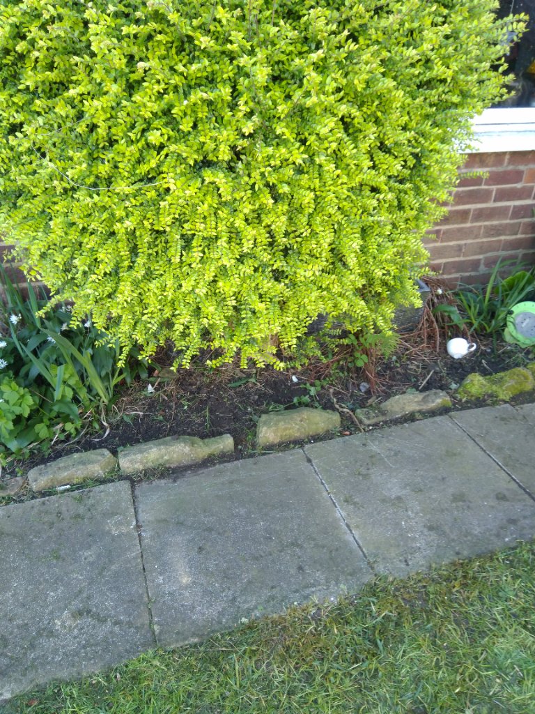 Golcar garden photo 1