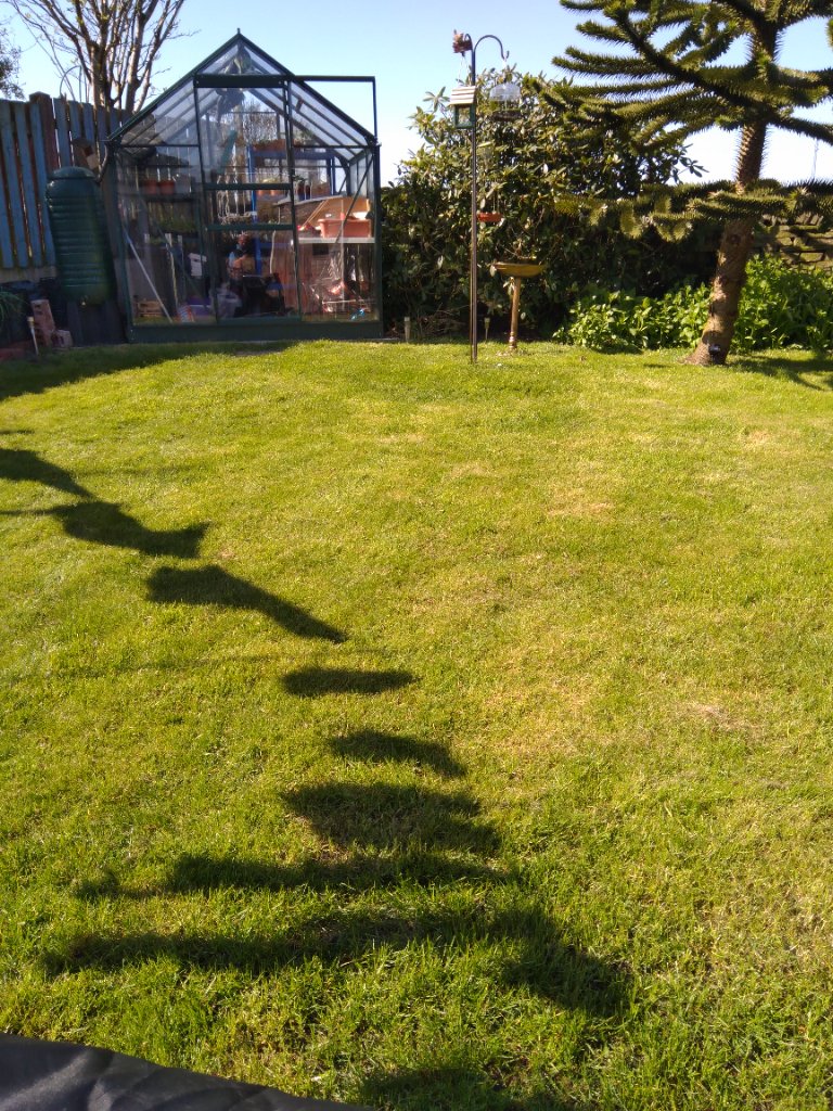 Our garden 2