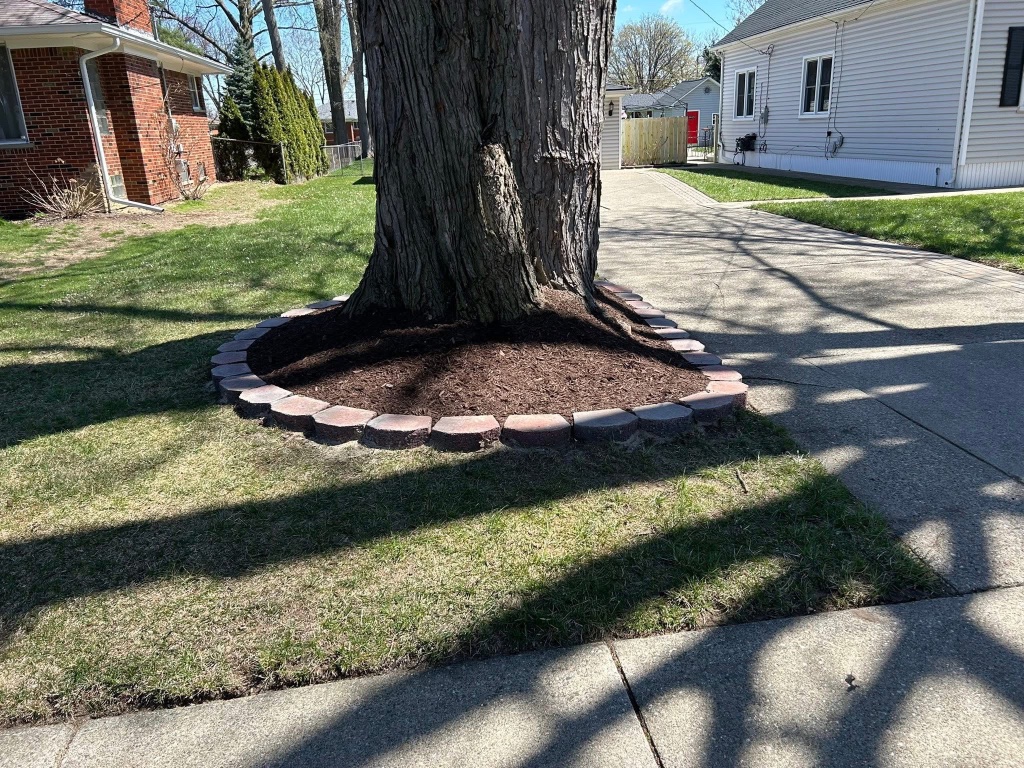 Fresh mulch and stone border around a mature tree in a Grosse Pointe front yard