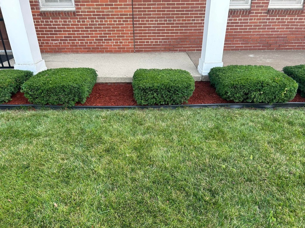 Freshly mowed lawn with neatly trimmed hedges along a brick home in Grosse Pointe