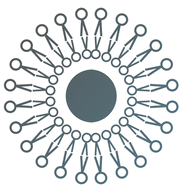 Axel-int  logo