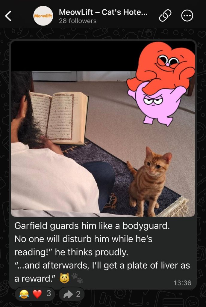 cat moment