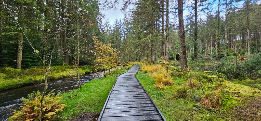 River Severn cascades in the forest