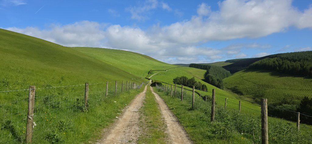 Radnor Forest — A Trail to a View