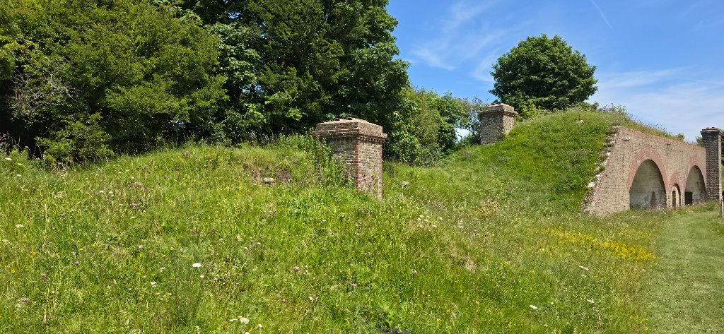 Fort Burgoyne wildflower meadow and Victorian ramparts, Dover