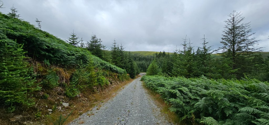 Hiking in Wales