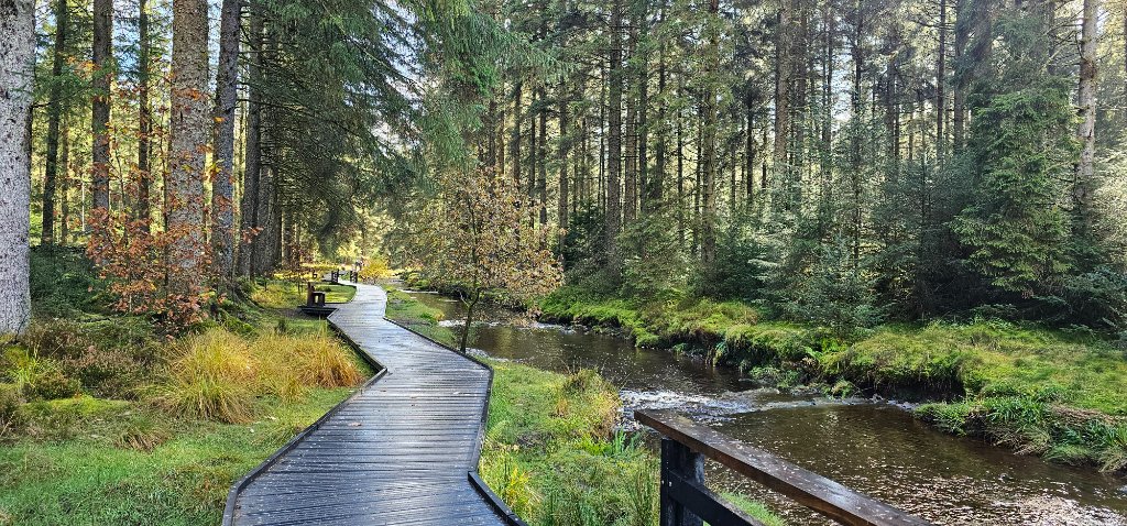 Hafren Forest trail information board