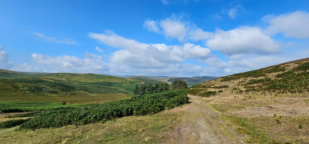 Caban Coch Dam area
