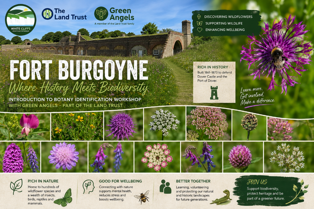 Fort Burgoyne — Where History Meets Biodiversity, workshop poster by White Cliffs Countryside Partnership, The Land Trust and Green Angels