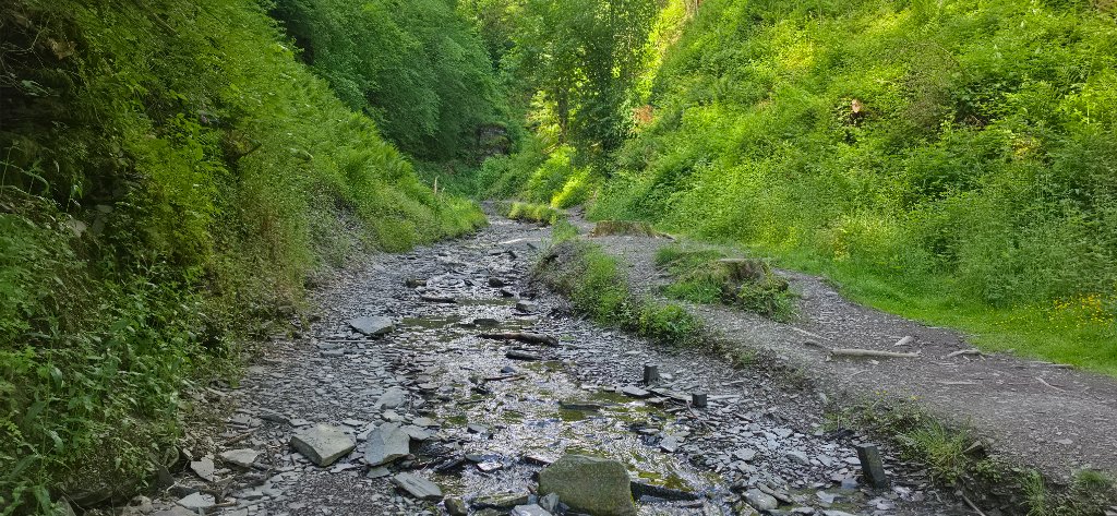 The rocky river trail through Warren Wood