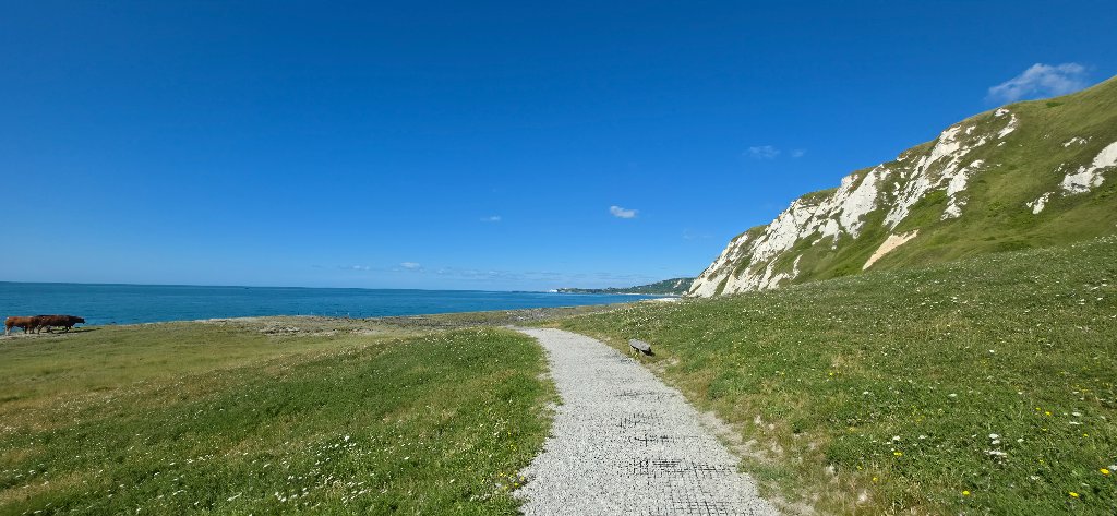 The surfaced path running along the shoreline