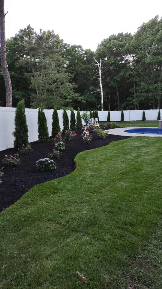 Bueno Landscaping project 3