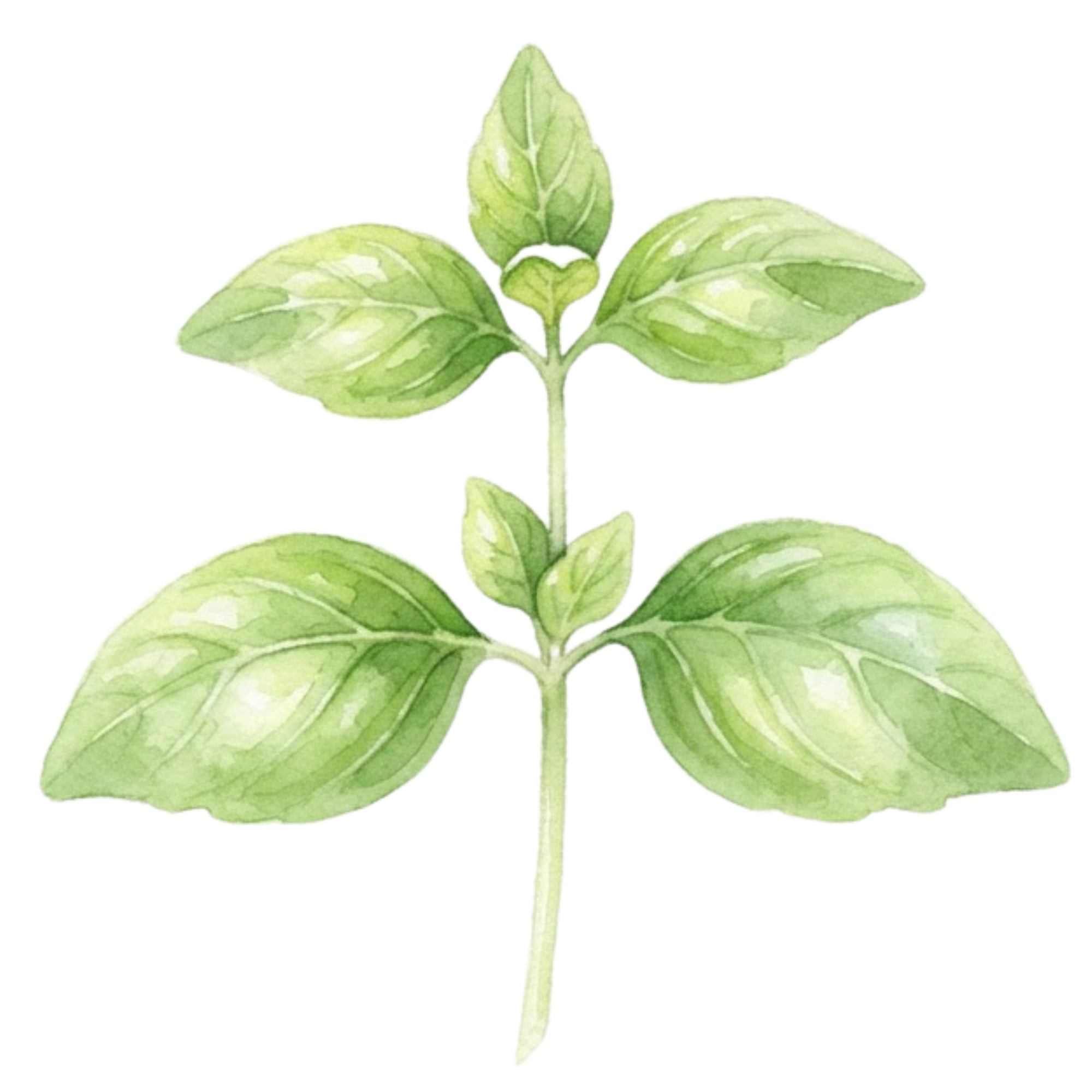 Fenchol