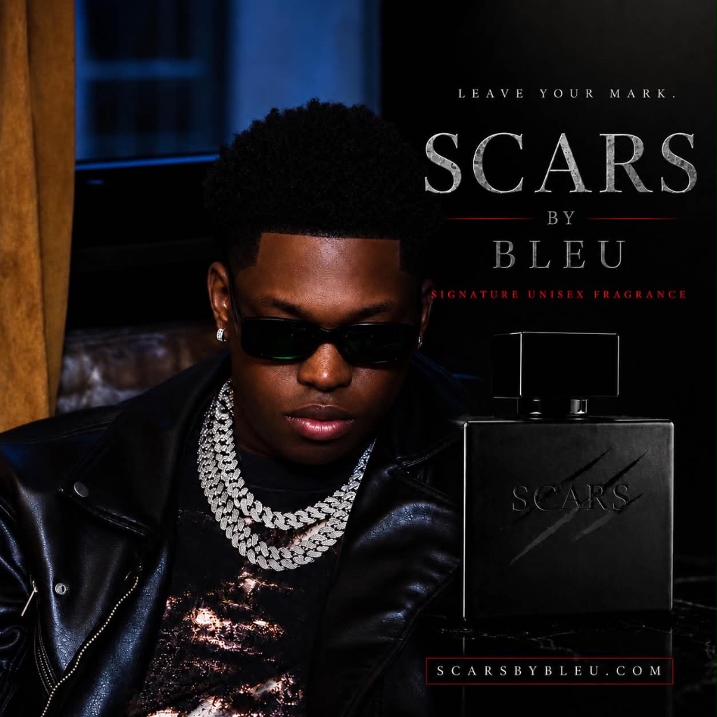 Scars by Bleu