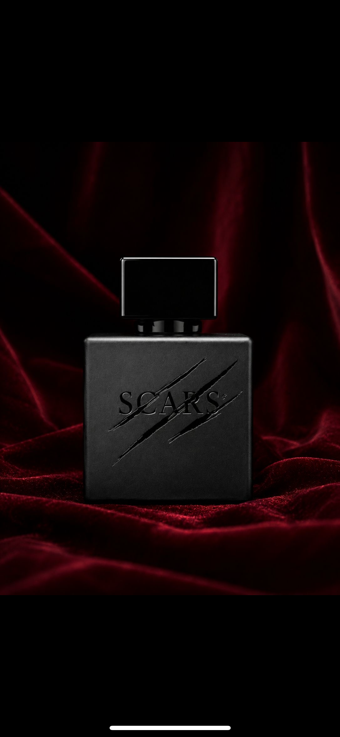 Scars by Bleu — Leave Your Mark