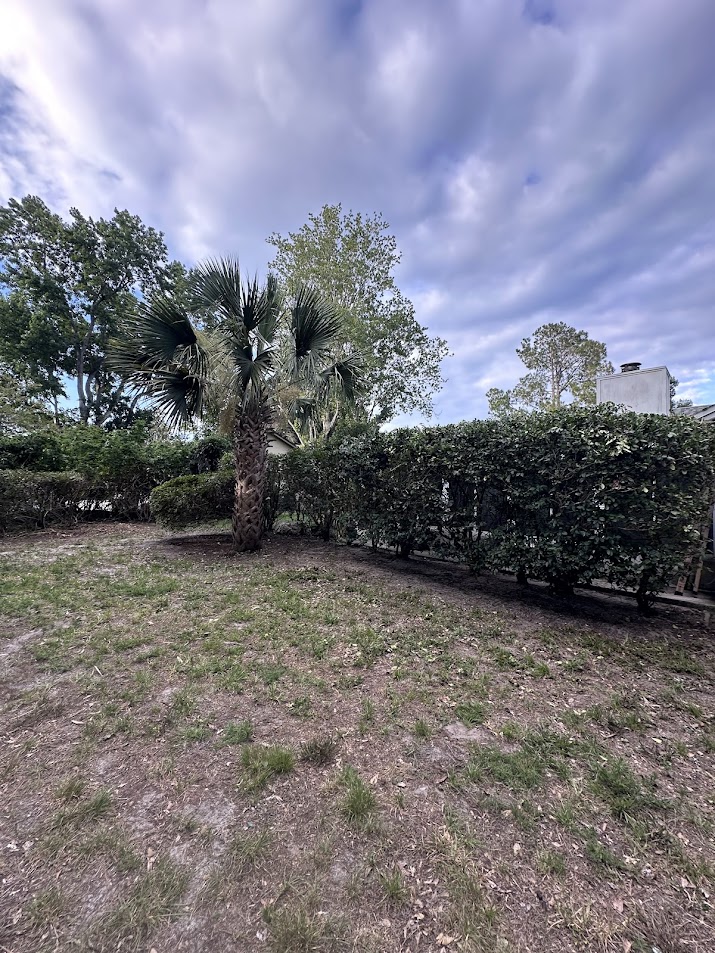 Lawn care at an Amelia Island property in Fernandina Beach, Florida