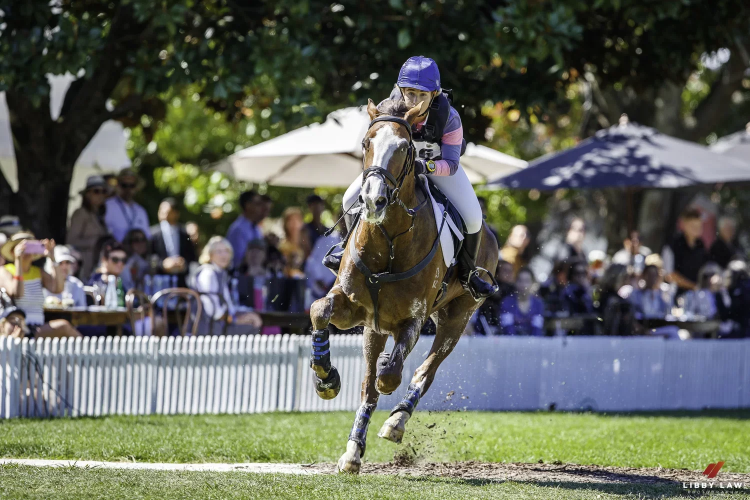 Cross-country eventing at Tōmoana