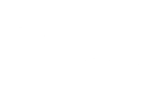 Best Feature - Paradise