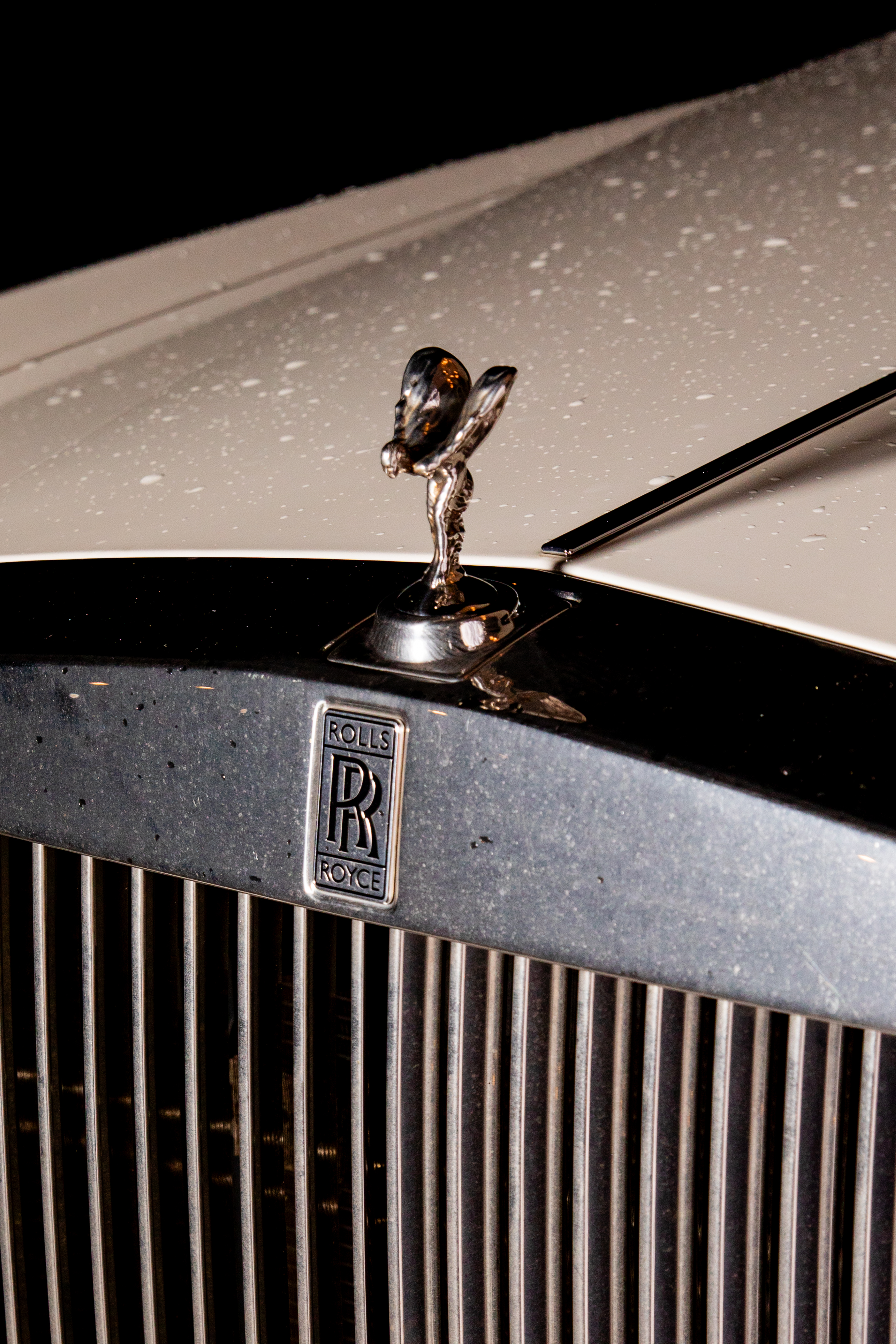 Arriving in style.
