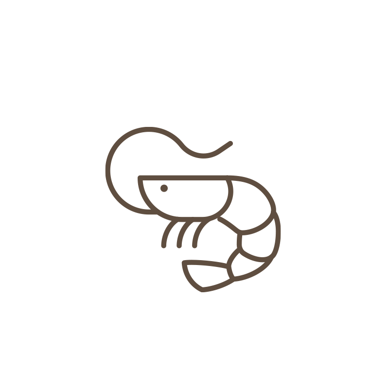shrimp