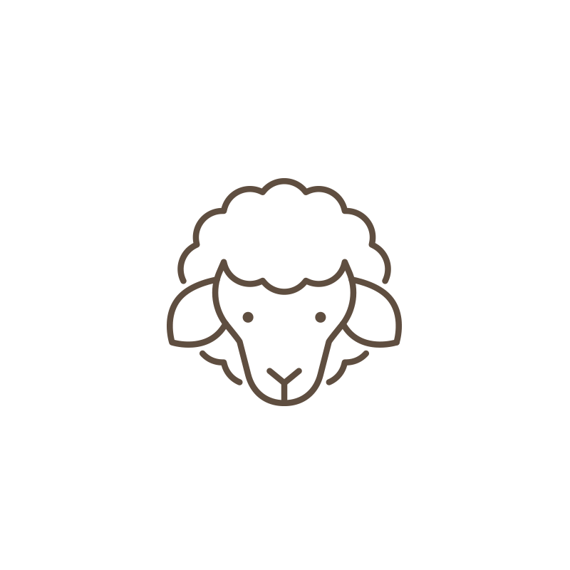 lamb