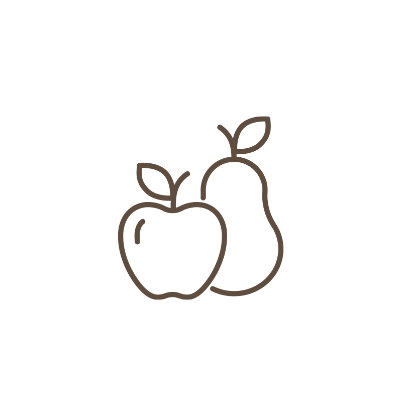 fruit