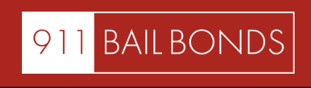 Bail Bonds Tracker template preview