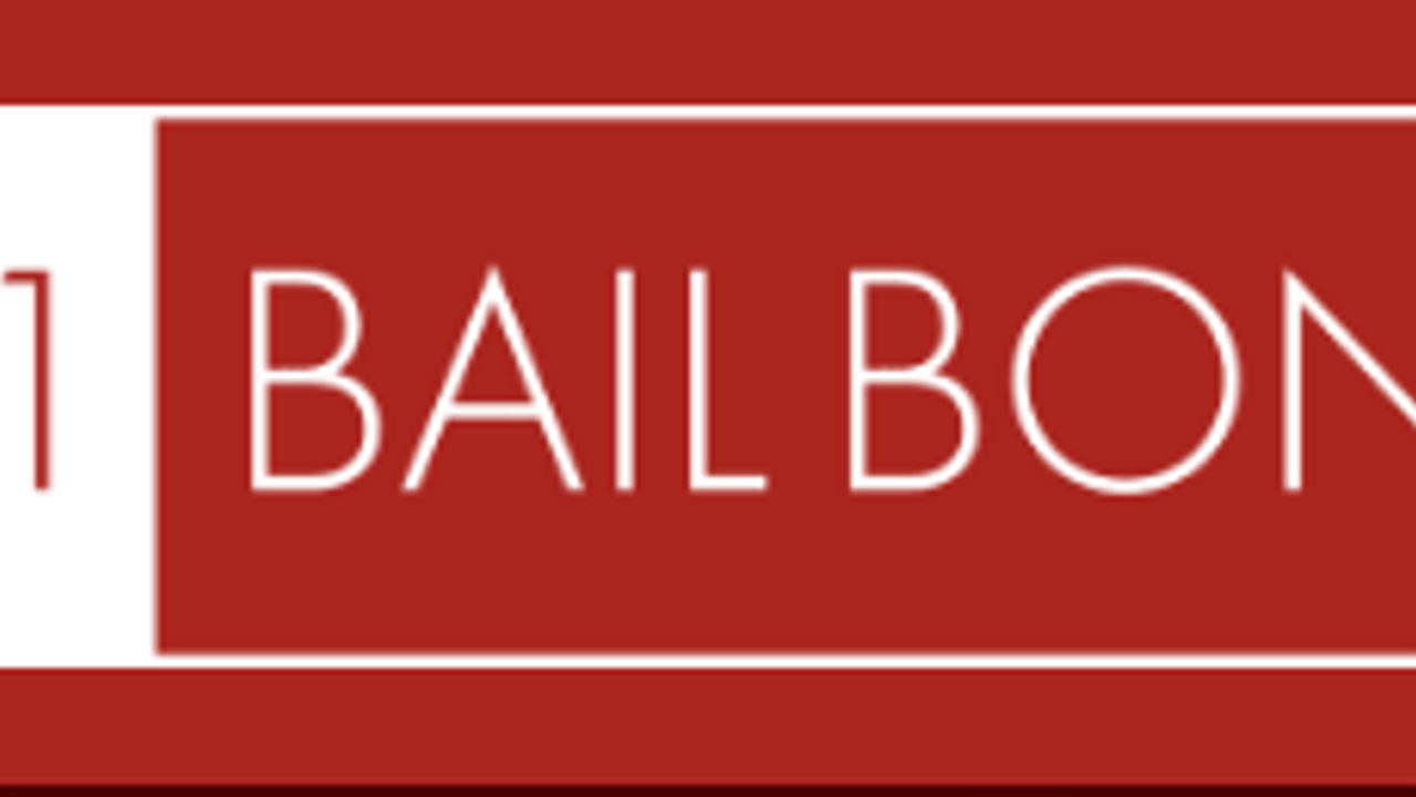 Bail Bonds Tracker template preview