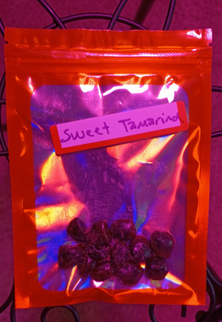 Sweet Tamarind Seeds 2