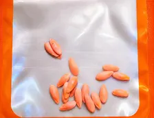 Cantaloupe Seeds 2