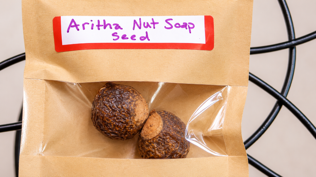 Aritha Nut Soap Seeds (Sapindus Mukorossi) 3