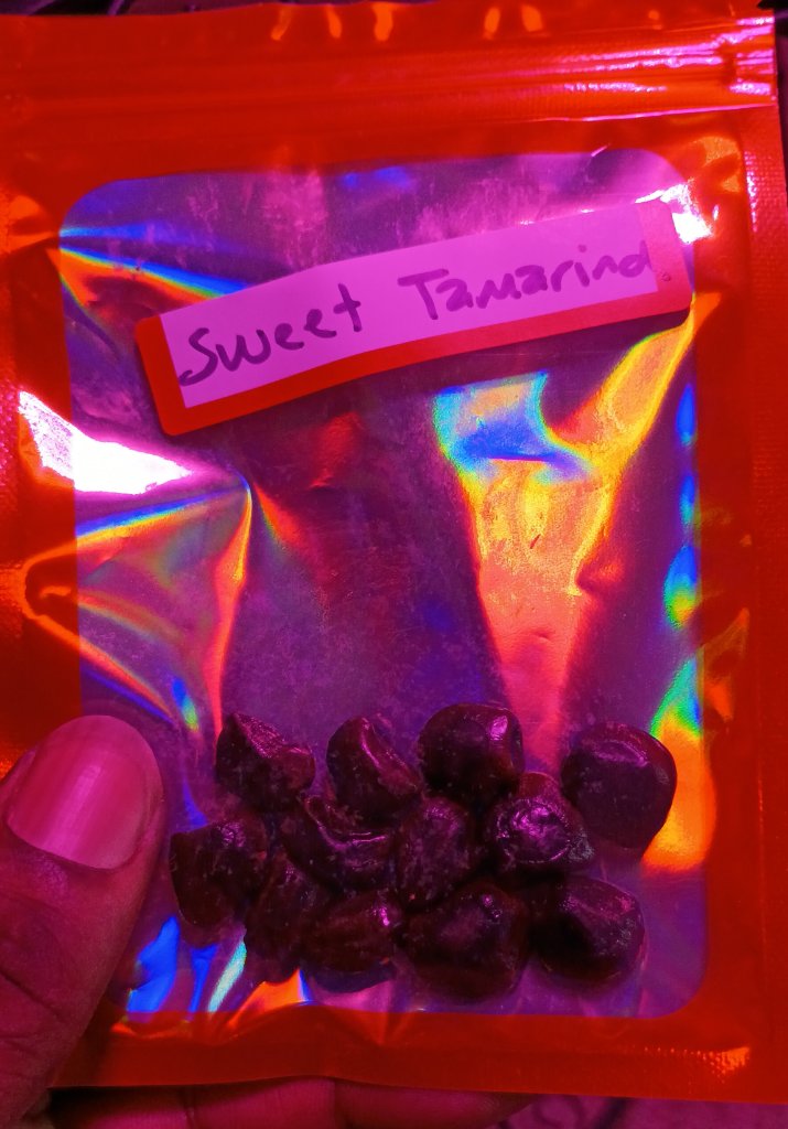 Sweet Tamarind Seeds 3