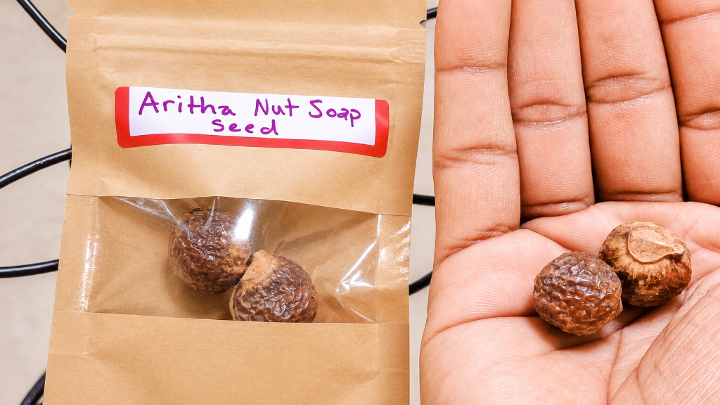 Aritha Nut Soap Seeds (Sapindus Mukorossi) 4