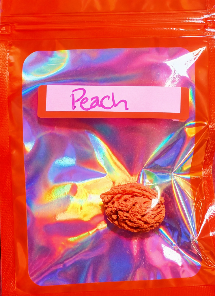 Peach Seed: Stone Fruit 5
