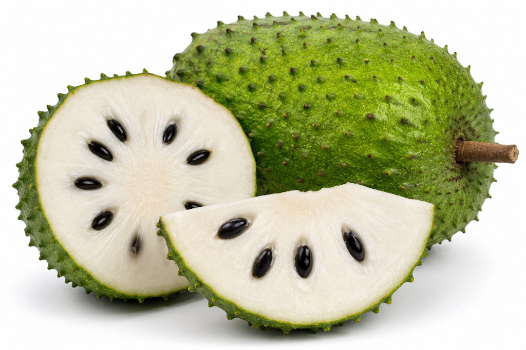 Soursop Sprouts 8