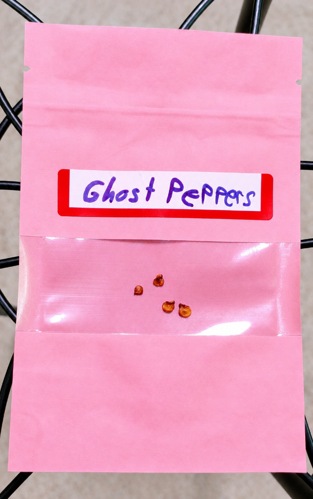 Ghost Pepper Seeds 2