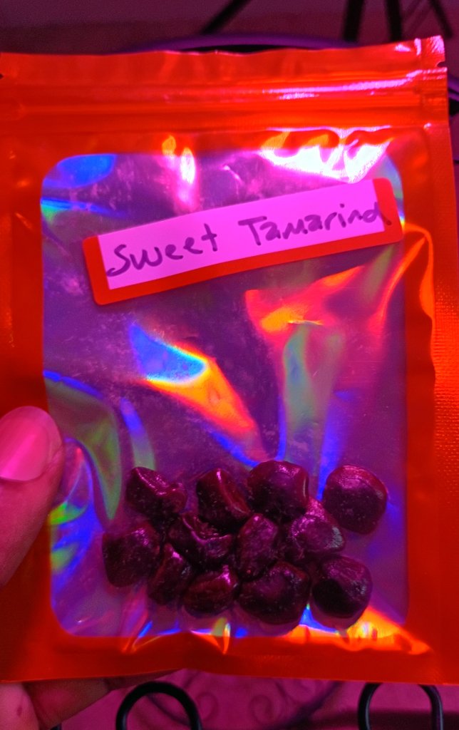Sweet Tamarind Seeds 4