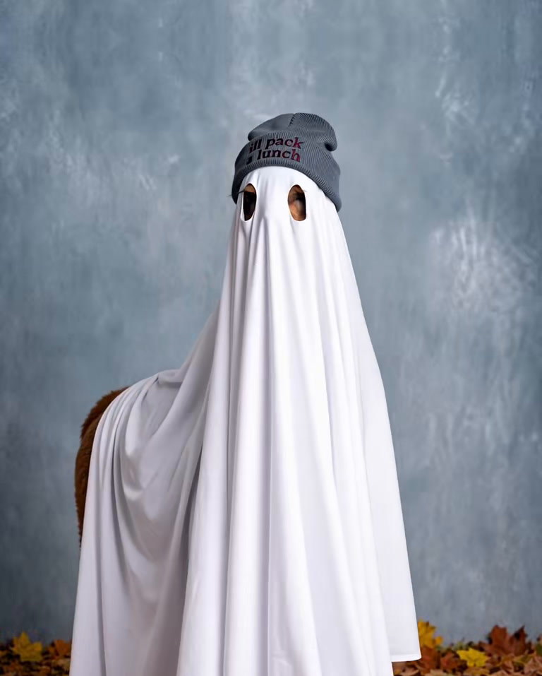 Our alpaca friend in a sheet ghost costume