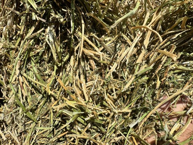 Close-up texture of Utility Feedlot Hay