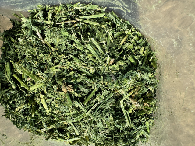 Close-up texture of Supreme Hay
