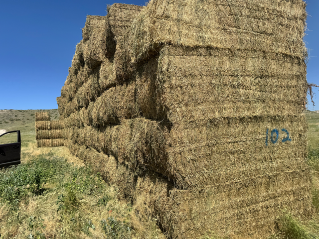 Close-up texture of Utility Feedlot Hay